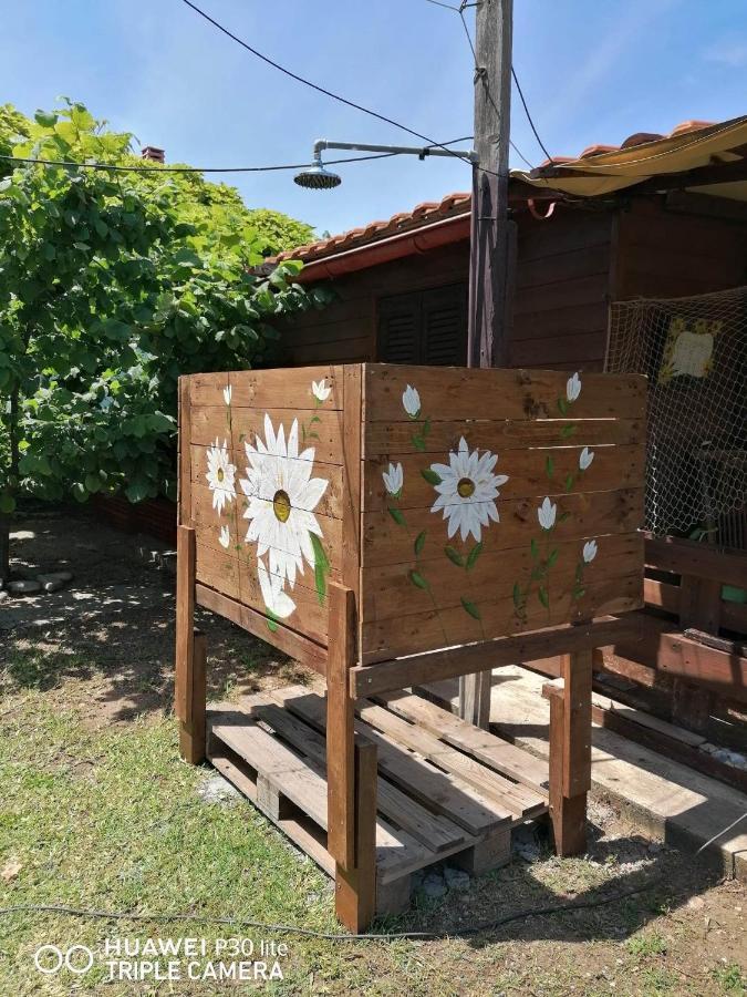 Country Village Nea Poteidaia Dış mekan fotoğraf